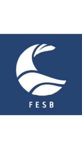 Logo FESB